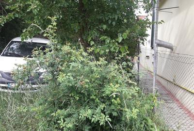 Casă individuală cu 3 camere cu Canalizare în Dâmbul Rotund - 4