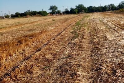 Spațiu comercial, în Ghimpați - 7