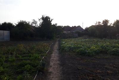 Casă de vânzare în Ciacova - 2