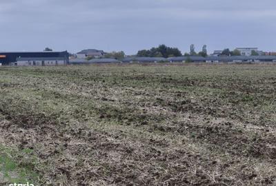 Spațiu comercial, în Balotești - 10