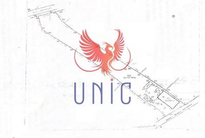 Teren Construcții intravilan de 980 mp, în Bordei - 2