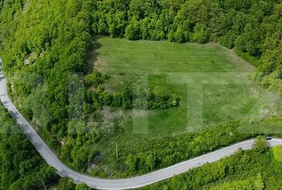 Teren superb, in mijlocul naturii, 18.360 mp, la Carji?i - 3