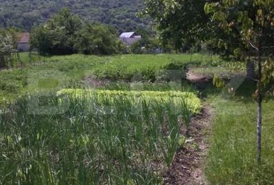 Casă cu 4 camere cu Teren 1200 Mp în Central - 1