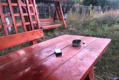 Casă cu 3 camere în Icoana - 5