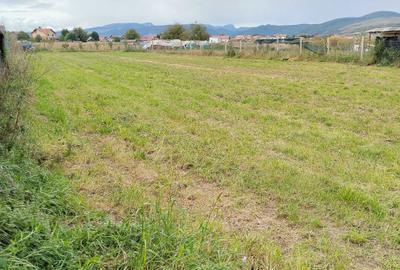 Teren de 1460 mp, în Mihai Viteazu - 2