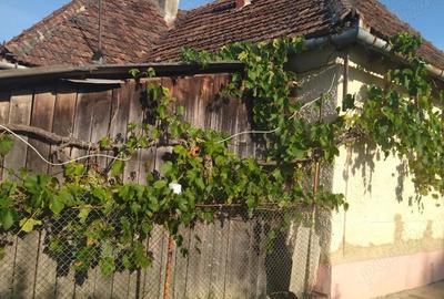 Vand casa locuibila cu vie ?i teren In sat Doh, comuna Maeriste - 3