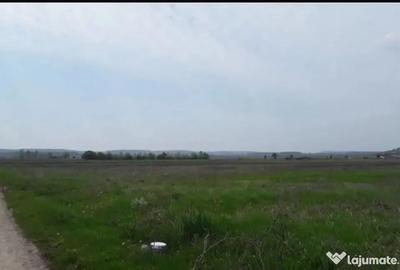 Teren de 12500 mp, în Central