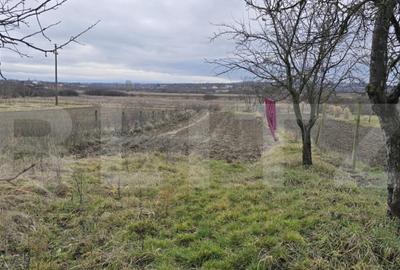 Teren de 1996 mp, în Viile Satu Mare - 7