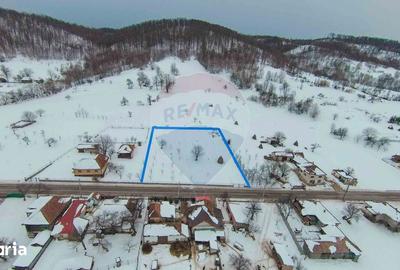 Teren de 3000 mp, în Bratca - 2