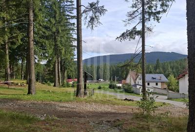 Casă individuală cu 14 camere cu Canalizare în Păltiniș - 5