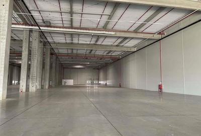 Spatiu de depozitare si productie centru logistic Chitila-Buftea - 4