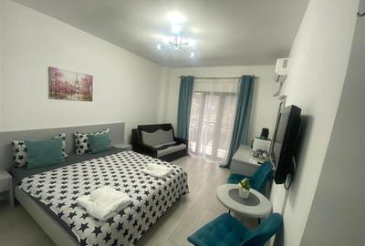 Garsonieră decomandată în Băile Felix - 1