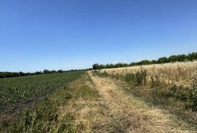 Teren Construcții intravilan de 2999 mp, în Ghighiu - 4