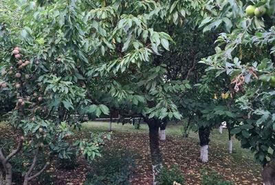 Casă cu 6 camere cu Teren 1100 Mp în Cozia - 1