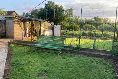 Casa de vanzare uileacu de beius - 2