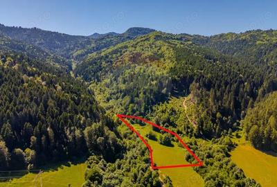 COMISION 0% Teren Bradet 7300 + 6000 mp/ Sacele /Intravilan - 3