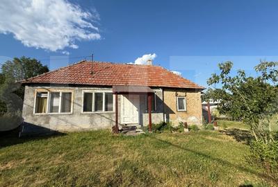 Casa taraneasca in inima naturii - 6