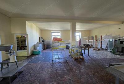 Casă cu 3 camere cu Teren 669 Mp în Cenad - 12