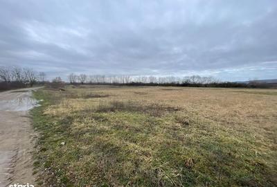 Spațiu comercial, în Fughiu - 1