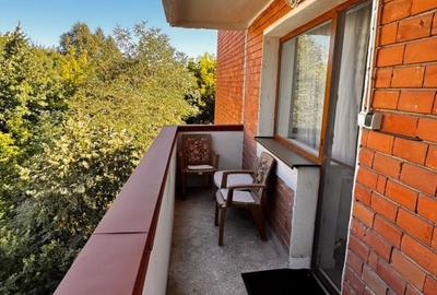 Apartament cu 2 camere, 1 Mai Insula - 11