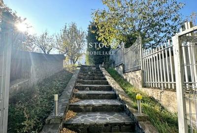 Vila deosebita pe malul lacului Corbeanca Vila deosebita pe malul lacului Corbeanca - 31