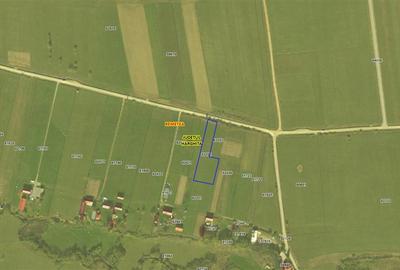 Teren Construcții intravilan de 2810 mp, în Sineu - 10