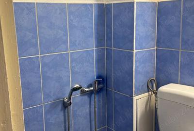 Inchiriez garsoniera zona 1 Decembrie 1918 Inchiriez garsoniera zona 1 Decembrie 1918 - 10