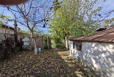 Casă cu 3 camere în Bucești - 2