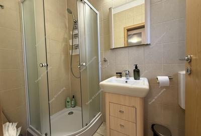 Casa de Inchiriat | 4 Camere | Braytim-Musicescu - 18