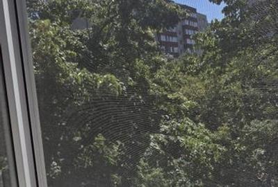 3 camere Bd Alexandru Obregia/loc parcare/centrala - 10