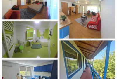 2 camere, în vila, la curte, centrala, parcare, pet friendly, metrou Gorjului, - 24
