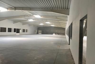 Hala de vanzare, situata in Sanandrei, judetul Timis - 7