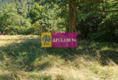 Teren de 744 mp, în Brezoi - 3