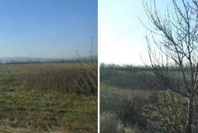 Teren extravilan cota parte 1/6 Odobesti, ID: R2878573 - 4