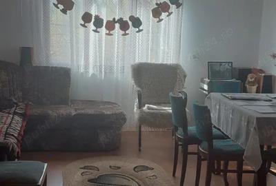 Casa cu curte mare ?i vie pe spalieri - 10