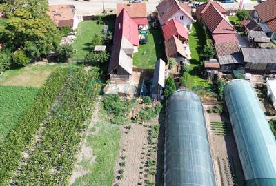 Casă individuală cu 3 camere cu Canalizare în Biharia - 6