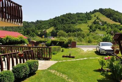 FILM!  Moieciu de Jos, Bran, pensiune in conditii apreciabile - 57