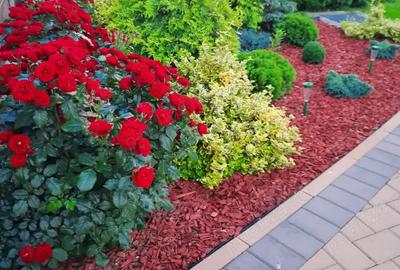 Casă cu 4 camere în Rădăuți - 1