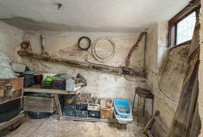 FERDINAND - Oborul Nou | Casa individuala 276mp teren| Renovare facila - 24