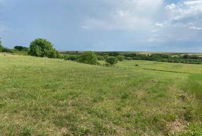 Spațiu comercial, în Miersig - 2