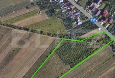 Teren de 24712 mp, în Central - 4