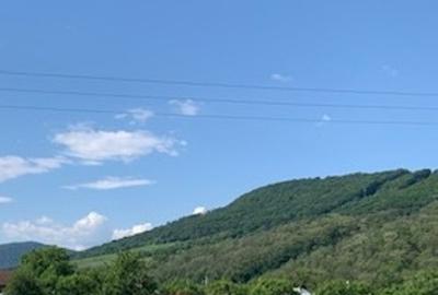 Casa P+M la rosu,intravilan Piatra Neamt, zona Darmanesti - 4