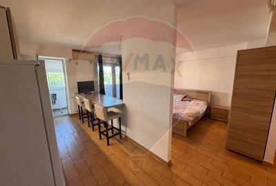 Apartament cu 1 camere de inchiriat in zona Cornitoiu - 3