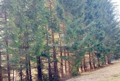 Teren intravilan în Poiana Brașov, strada Poiana Ruia - 5