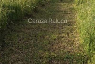 Teren de 5050 mp, în Central - 1