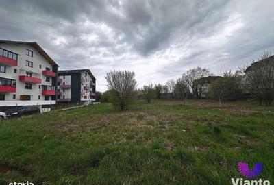Spațiu comercial, în Turnișor - 6
