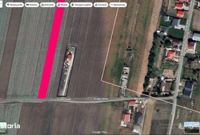 Teren de 3900 mp, în Horia