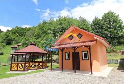 Casă cu Teren 7068 Mp în Breaza - 4