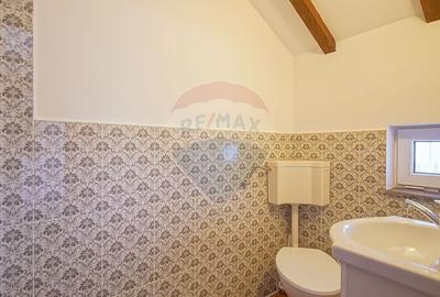 Casă cu 9 camere cu Teren 888 Mp în Sohodol - 37