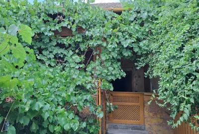 Casa mare 4 camere cu gaz Strada V.Lucaciu colt cu I.L. Caragiale in Nadlac - 16